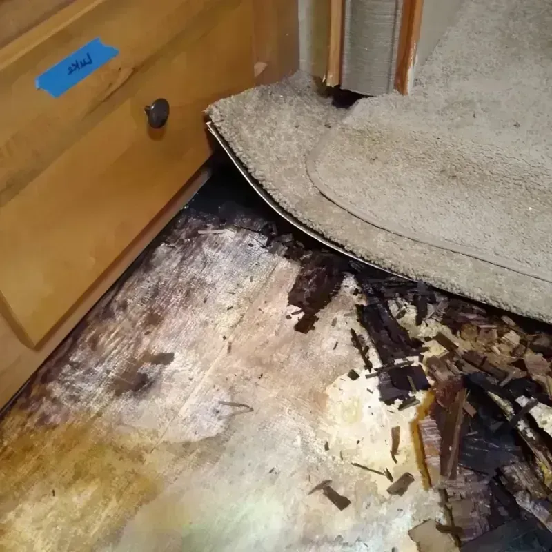 Wood Floor Water Damage in Kalkaska, MI